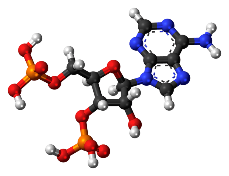 CONNECTION ON STEROIDS!
