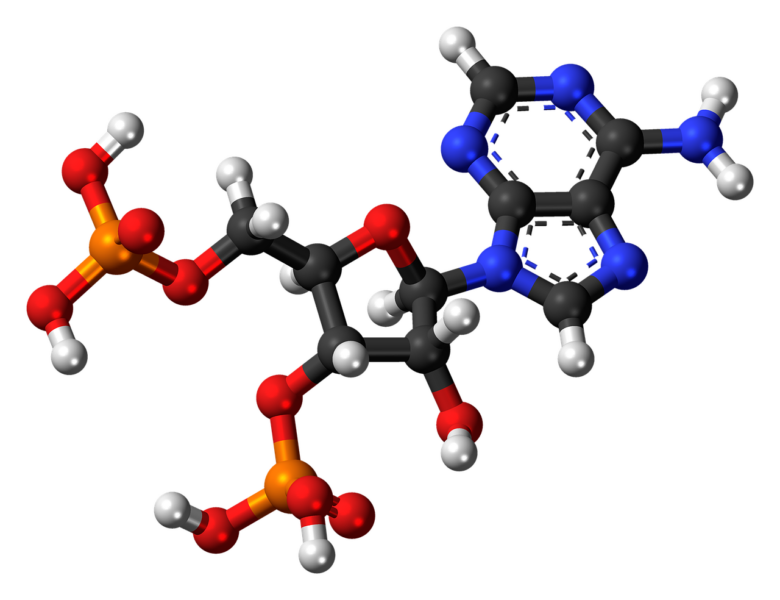 A molecular 3D ball-and-stick rendering of a nucleotide-like compound with a blue nitrogen-rich ring structure and two orange phosphate groups on a black background.