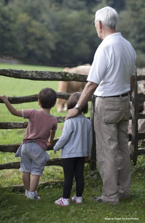 Grandfather enjoying an outdoor farm visit with two grandchildren as they look through a wooden fence at cows in a green pasture, highlighting intergenerational bonding and family time.