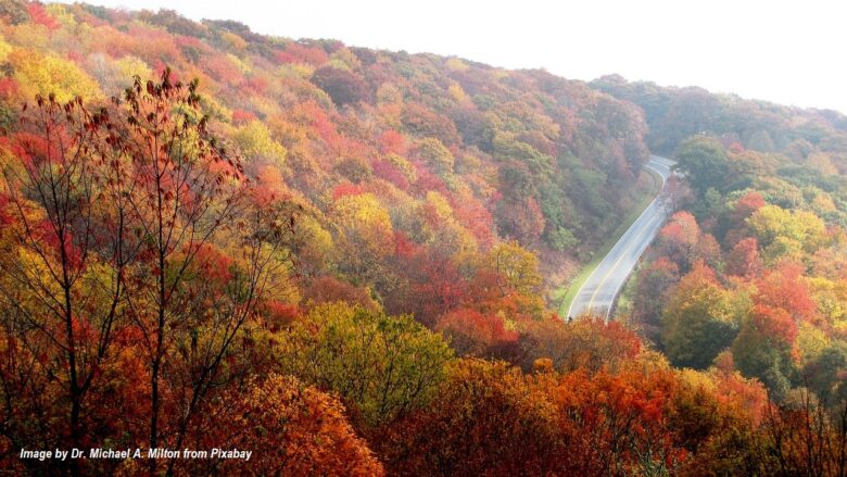 Scenic winding mountain road through colorful autumn foliage in the Blue Ridge Mountains