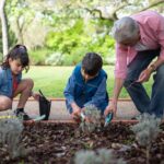 Grandparent gardening with two grandchildren, teaching them how to plant flowers in a backyard garden.