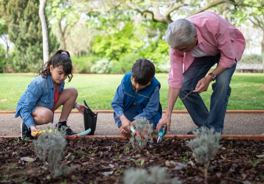 Grandparent gardening with two grandchildren, teaching them how to plant flowers in a backyard garden.