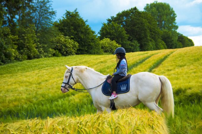 Child riding a white horse in a green field, a peaceful outdoor family activity for grandparenting content.
