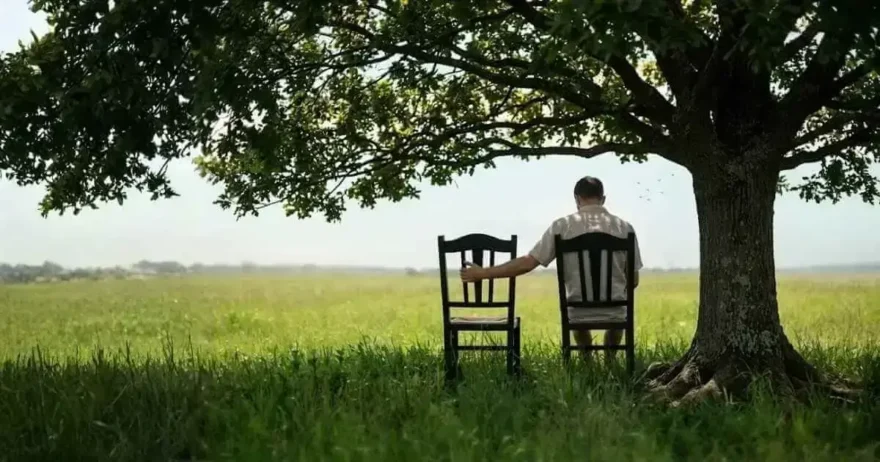A man seated on a chair under a tree with an empty seat beside him.